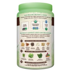 Raw Organic Protein & Greens - Chocolate 610g