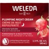 Plumping Night Cream 40ml