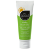 Soothing Aloe Gel 109ml