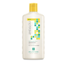 Sunflower & Citrus Brilliant Shine Shampoo 340ml