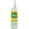 Insect Repellent Adult 250ml