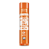 Orange Ginger Lip Balm 12 x 4g (Case)