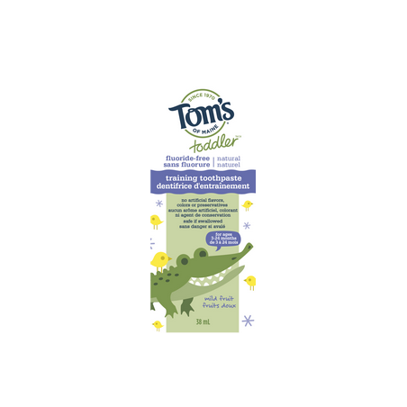 Fluoride-Free Toddler Training Natural Toothpaste, Mild Fruit 38ml