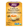 Mango Ginger Digestive Support 16bg