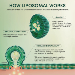 Propolis + Vitamin C Liposomal 96ml