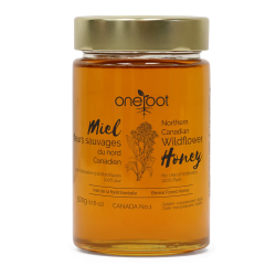 Liquid Wildflower Honey 500g