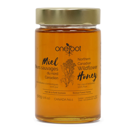 Liquid Wildflower Honey 500g