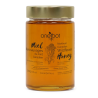 Liquid Wildflower Honey 500g