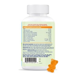 Multi Gummy Bears Vegetarian 90gmy