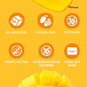 Fruit Snack Mango 12 x 40g