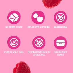 Fruit Snack Apple-Raspberry 12 x 40g