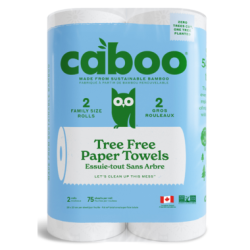 Paper Towel 12 x 2pk (Case)