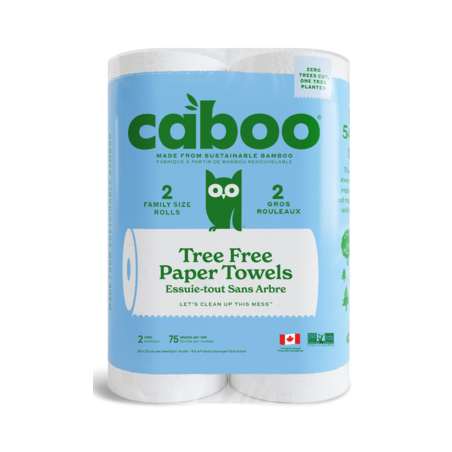 Paper Towel 12 x 2pk (Case)