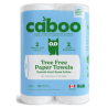 Paper Towel 12 x 2pk (Case)
