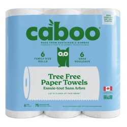 Paper Towel 4 x 6pk (Case)