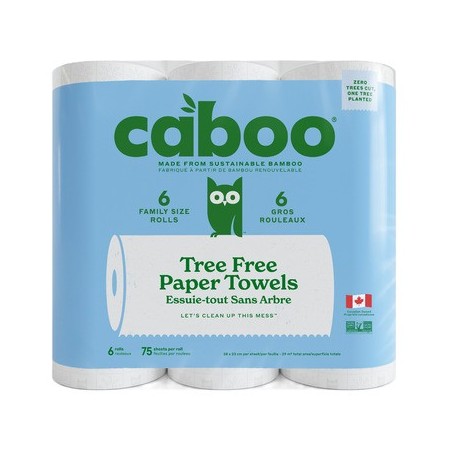Paper Towel 4 x 6pk (Case)
