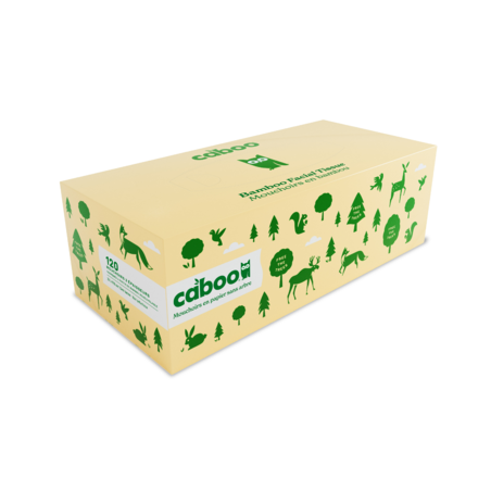 3ply Facial Tissue Flat Box 12x120ct (Case)